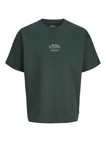 Jack & Jones JJEBARRON STUDIO TEE SS O-NECK SN Grøn