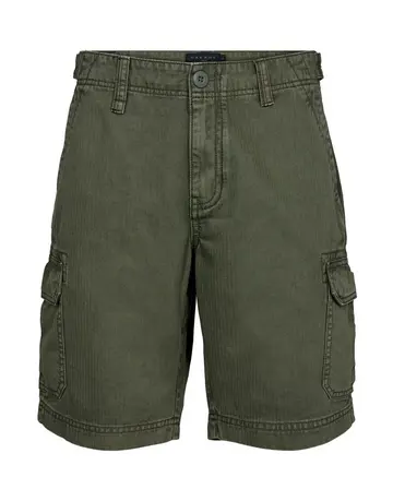 SALT Shorts 