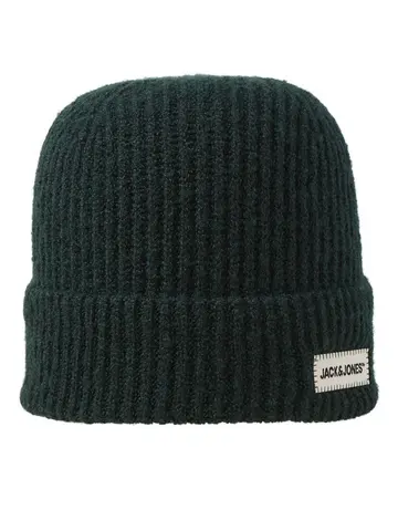Jack & Jones JACCOLTON REGULAR BEANIE Grøn