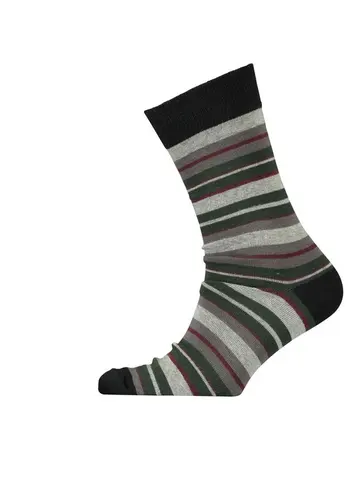 Garant Striped sock Multi