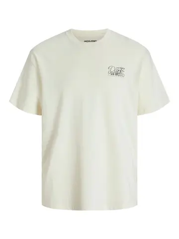 Jack & Jones JORDARK TEE SS CREW NECK FT STYD PL Hvid