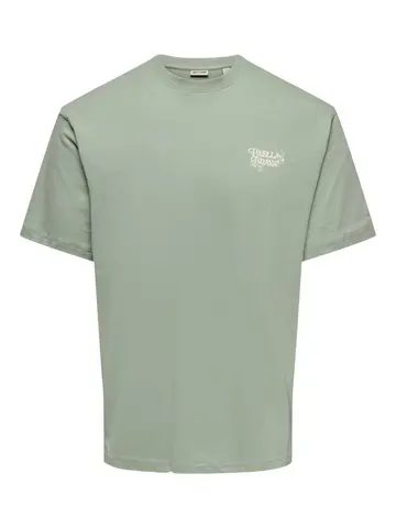 Only & Sons ONSCHEF LIFE RLX SS TEE Grøn