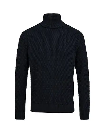 Black Blue Roll neck regular fit 
