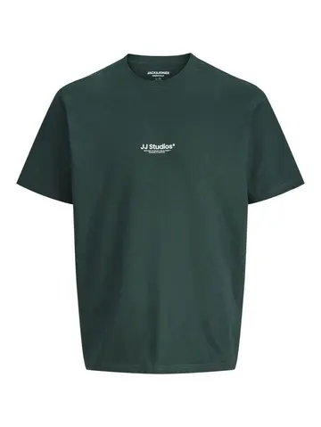 Jack & Jones JJESOHO TEE SS CREW NECK NOOS Grøn