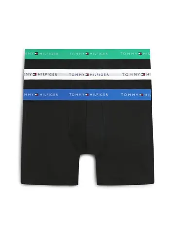 Tommy Hilfiger 3P BOXER BRIEF WB Blå