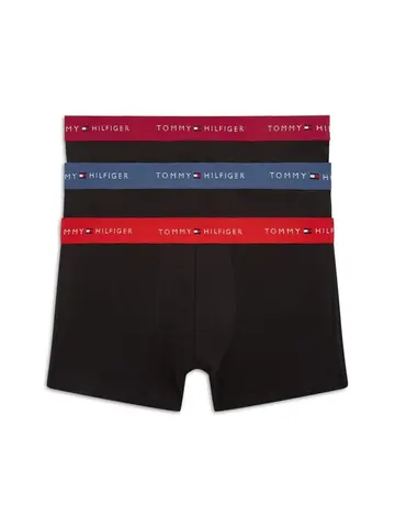 Tommy Hilfiger 3P TRUNK WB Blå