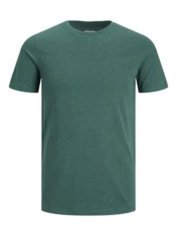Jack & Jones JJEORGANIC MEL TEE SS O-NECK NOOS P Grøn