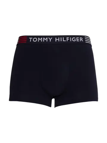 Tommy Hilfiger TRUNK Blå