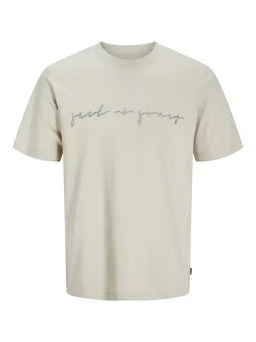 Jack & Jones JPRBLACARTER SS TEE Grå